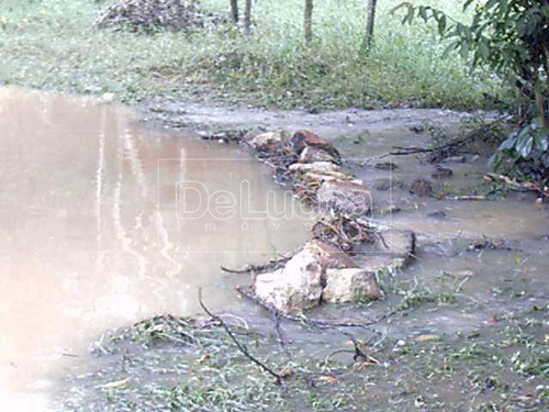 Imagem 6 de 9 de Chácara À Venda Em Dois Córregos - Ch000720
