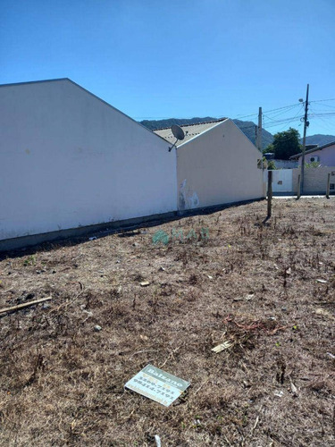 Imagem 13 de 19 de Tre Plano À Venda No Airro São João Do Rio Vermelho - Florianópolis Sc!! - Te0146