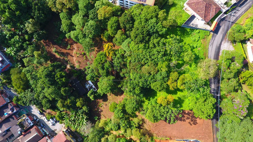 Lote Com 6.500m2 No Cônego - 304