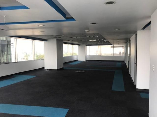 Renta De Oficina En Torre Logar