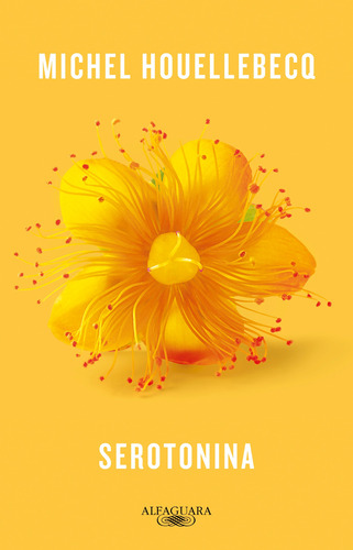 Serotonina, de Houellebecq, Michel. Editora Schwarcz SA, capa mole em português, 2019