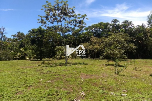 Chácara Bambu Com Lago E Piscina Em Peruíbe - Ch060