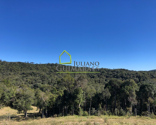 Imagem 19 de 22 de Linda Chácara Com 30.000 M² Á Venda Em Rancho Queimado, Sc - Ch00018 - 69903101