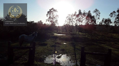 Imagem 7 de 13 de Excelente Oportunidade Em Itapuã - Si0048