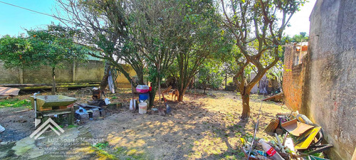Imagem 22 de 26 de Casa De Alvenaria, Ótima Varanda, Três. Dormitórios Com Excelente Terreno. - Br297 - 69942458