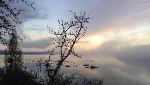 Imagen 20 de 25 de Se Arrienda Linda Cabaña En Yutuy, Chiloé