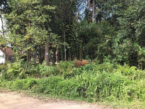 Imagem 2 de 3 de Vendo Terreno Em Baln. Barra Do Sul - 150 Metros Da Lagoa