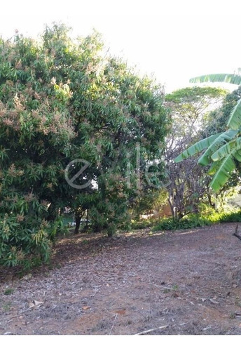 Chácara À Venda Em Vila Saltinho - Ch003093