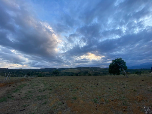 Hermoso Lote De 3 Hectareas Barichara Vereda Paramito