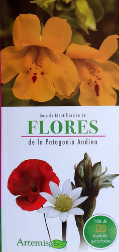 Flores De Patagonia Andina