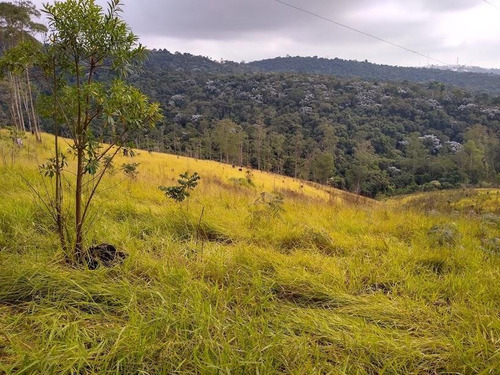 Área 94.252,82 M² Para Incorporação E Empreendimentos De Moradias Populares, Oportunidade Investidores/constutores - Te0012