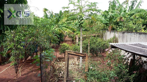 Imagem 15 de 22 de Chácara Com 1 Dormitório À Venda, 500 M² Por R$ 160.000,00 - Brejo Alegre - São José Do Rio Preto/sp - Ch0096