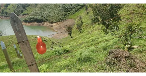 Rhbr-10475 (lote , Guatape)