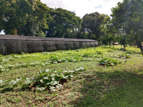 Chácara 8.750 M² - Costa Do Ipiranga - Gravataí - Rs - 2287 - 34670139