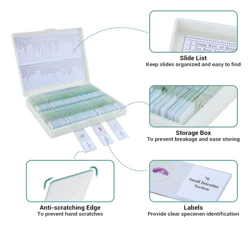 100 Uds Portaobjetos De Microscopio Con Muestras, Portaobjet