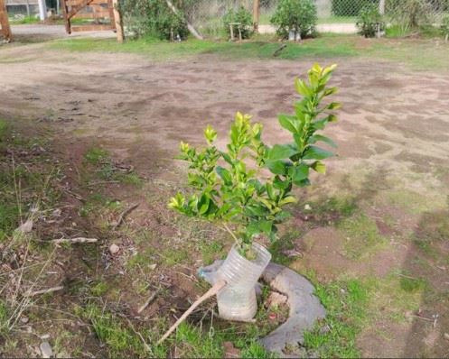 Parcela En Venta En Las Cabras
