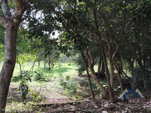 Chácara Com 1 Dormitório À Venda, 8000 M² Por R$ 480.000,00 - Gleba Ribeirão Cafezal - Londrina/pr - Ch0031