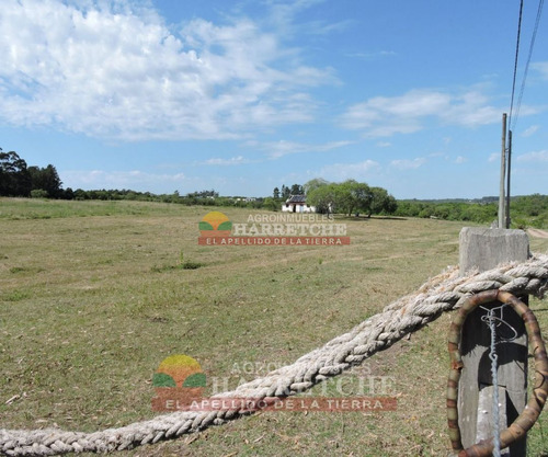 Imagen 15 de 17 de Venta De Chacra Melilla 3 Has Hermoso Paisaje.financia Propietario