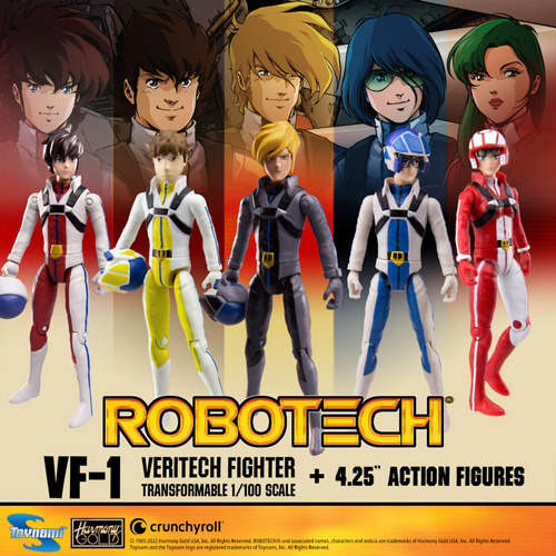 Robotech Macross Vf-1s Roy Fokker Valkyrie 1/100 Toynami Dx