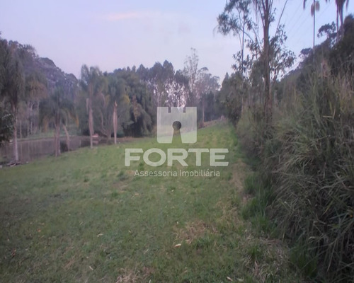 Imagem 17 de 30 de Linda Parte De Terra Com Lagos E Pinheiros Em Sabauna . Imobiliárias De Mogi Das Cruzes. São 47 Mil Metros Com 2 Lagos - Ar00001 - 69542625
