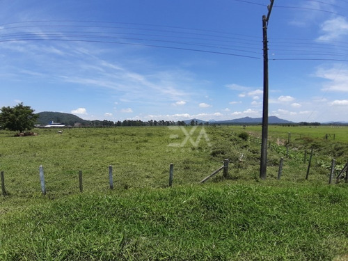 Imagem 17 de 25 de Terreno A Venda Na Br 101, Cidade De Penha (sc) - Exa Imóveis. - 0915