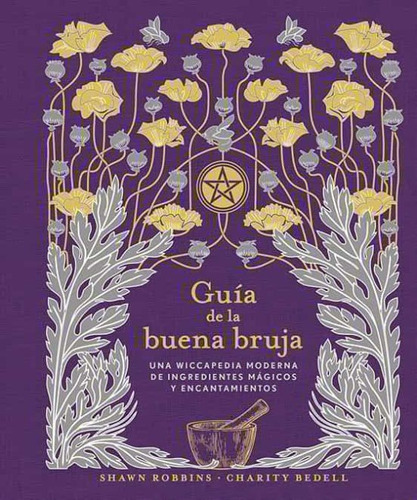 Guia De La Buena Bruja - Shawn Robbins