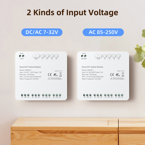 Interruptor Remoto De Relé Wifi Con Módulo Tuya Alexa Compat