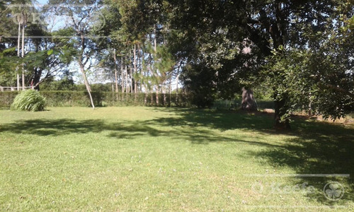 Imagen 14 de 17 de Campo - General Alvear