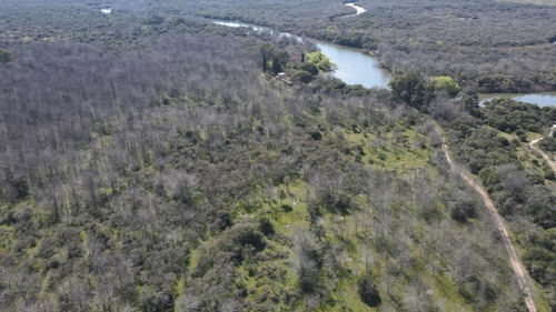 Imagen 5 de 6 de Lote De 21 Hectáreas Con 300 Metros De Costa Al Arroyo Gualeyán, Gualeguaychú.