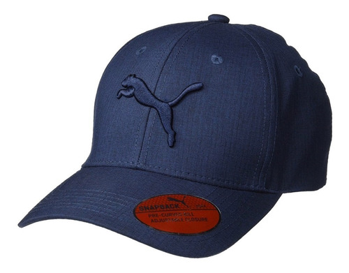 Gorra Importada Puma Evercat Ícono Unitalla