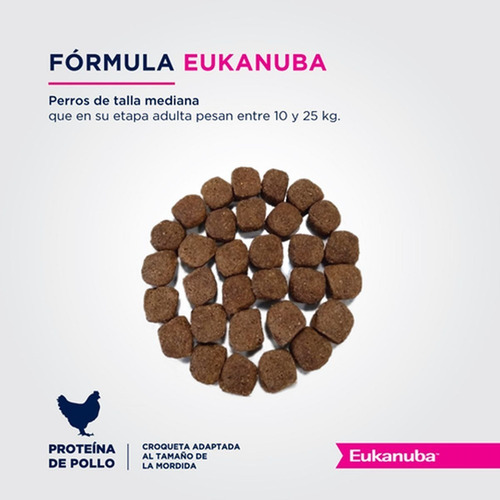 Alimento Eukanuba Adult Mini para perro adulto de raza mediana sabor mix en bolsa de 15kg
