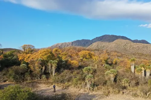 Lotes De Montaña/ Barrio Labanda / 2500 M2