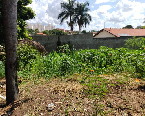 Imagem 1 de 3 de Terreno De 1000m² Chácaras Alvorada Indaiatuba - Te00229 - 69178963