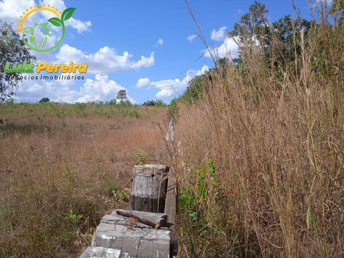 Imagem 9 de 11 de Fazenda À Venda No Vale Do Araguaia - To - Espetacular Para Soja - 1815
