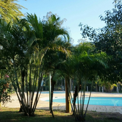 Terreno Em Belém Novo - Lu268245