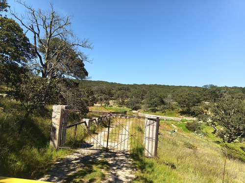 Terreno En Venta En Sierra De Lobos