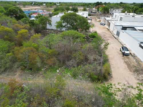 Terreno En Esquina En Venta Cholul
