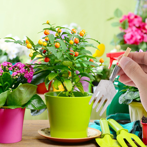 Juego De Minipalas De Jardín De 5 Piezas, Ecológicas, Para J