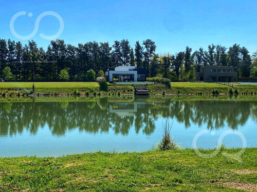 Imagen 1 de 4 de Terreno - Pilara