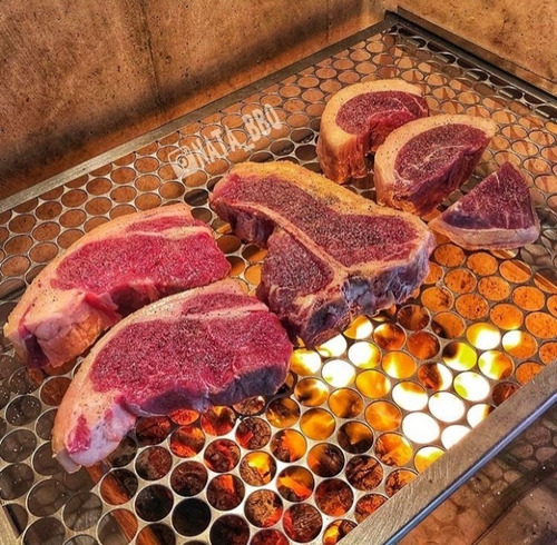 Grelha Churrasco Moeda 66x40cm Inox E Cabo Aluminio