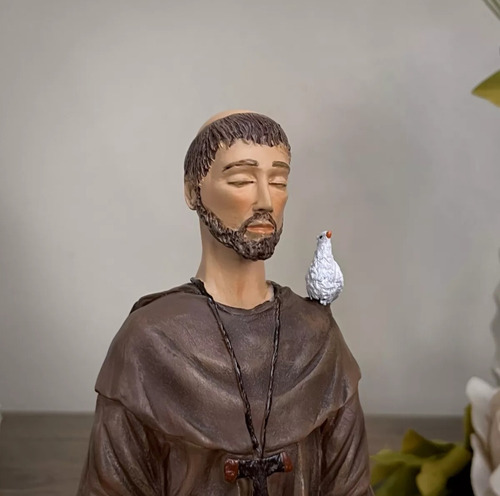 Imagem São Francisco De Assis Meditando 20cm Resina