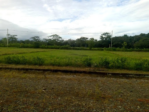 Imagen 14 de 20 de Lotes En Venta Restrepo 476-1391