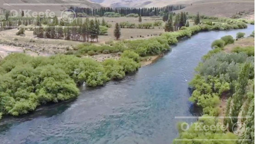 Imagen 18 de 30 de Campo En Venta En Rio Negro - Exclusivo Sobre El Rio Limay. Ideal Flyfishing!