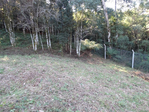 Imagem 6 de 15 de Terreno À Venda, 463 M² Por R$ 446.800,00 - Vivendas Do Arvoredo - Gramado/rs - Te0093