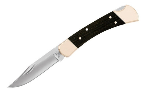 Buck Knives 110 Folding Hunter Lock-back Knife 3-3/4 420hc
