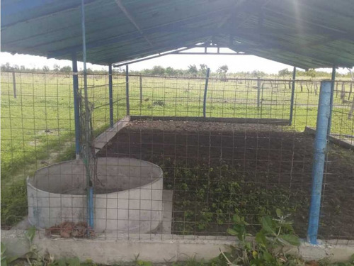 Finca Para Ganaderia Y Agricultura En Zuata. Anzoategui. Privadas.