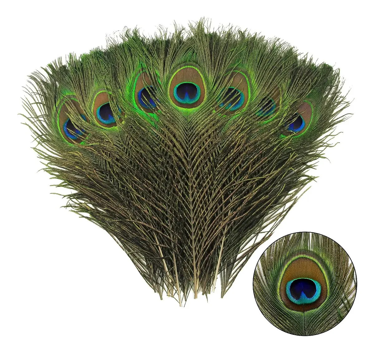 Plumas De Pavorreal Eventos Fiestas Decoracion 25-30 Cm 20pc Plumas Pavo Real