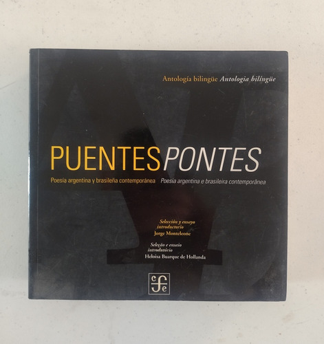 Poesía Argentina Y Brasileña Contemporánea. Puentes