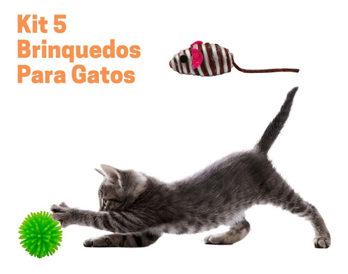 Kit 05 Brinquedos Diversão Interativo Para Gatos Premium Pet Cor Colorido Desenho Diversos