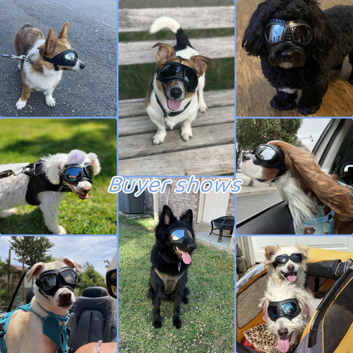 Lentes De Sol Uv Para Perro Pequeño, Mediano